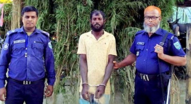 ফুলছড়ির চরাঞ্চলে চাষকৃত ১০টি গাঁজার গাছসহ একজন আটক ফুলছড়ির চরাঞ্চলে চাষকৃত ১০টি গাঁজার গাছসহ একজন আটক